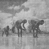 Half naked, bent over, up to their ankles in the water, that’s how one works in the Indian rice fields.