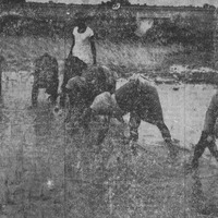 For women in India, there is little joy: living in a hut, managing a large family, and working in the fields all day long.